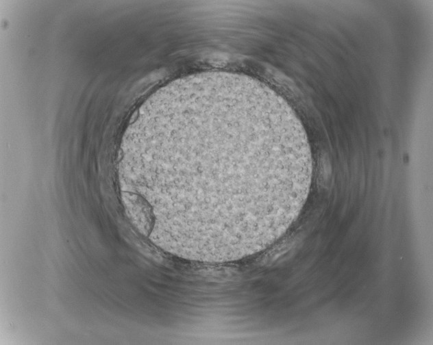 X0000085821105200704132005