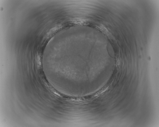 X0000085821106200704132005