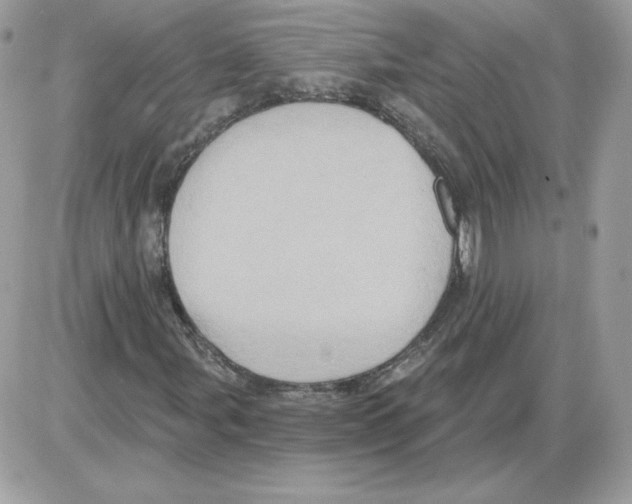 X0000085821107200704132005