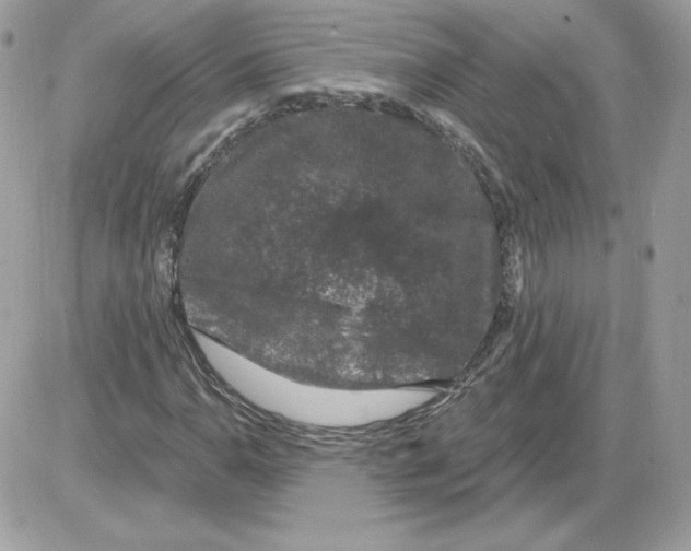 X0000085821110200704132005