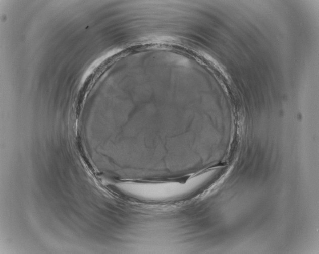 X0000085821117200704132005