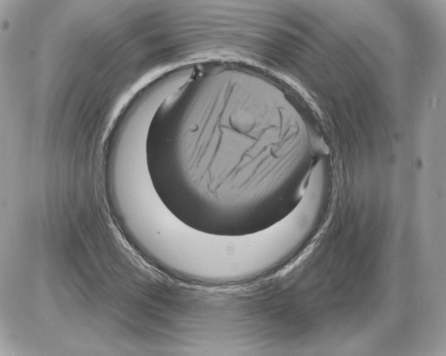 X0000085821118200704132005