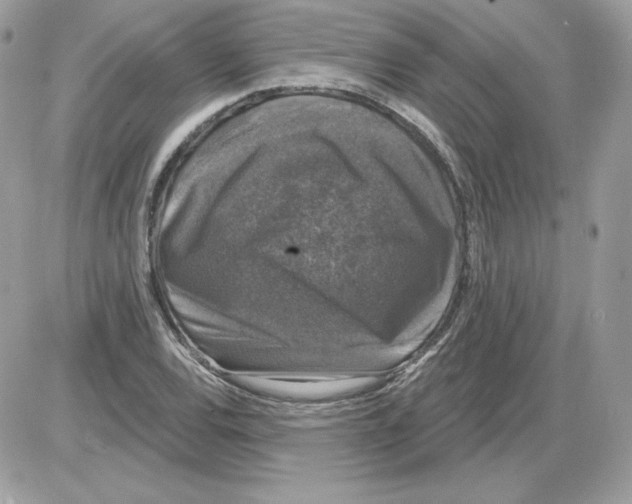 X0000085821120200704132005