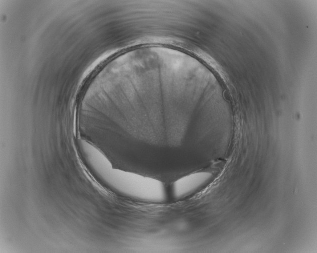 X0000085821127200704132005