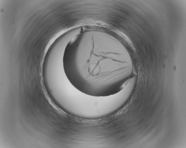 X0000085821128200704132005