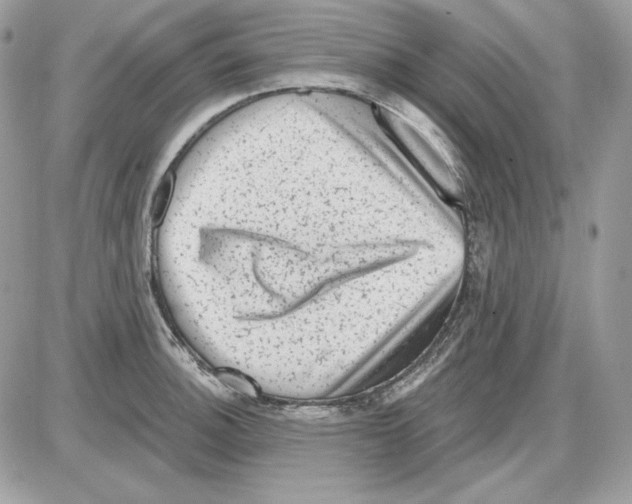 X0000085821140200704132005