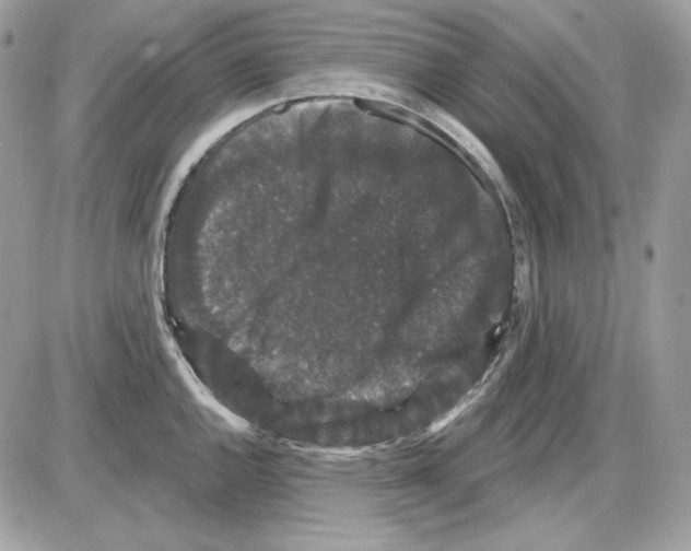 X0000085821144200704132005
