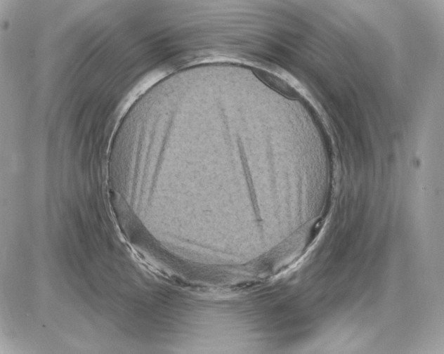 X0000085821145200704132005