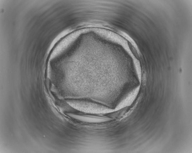 X0000085821146200704132005
