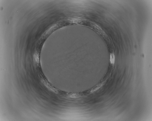 X0000085821155200704132005