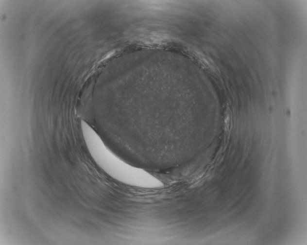 X0000085821156200704132005