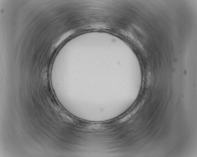 X0000085821162200704132004