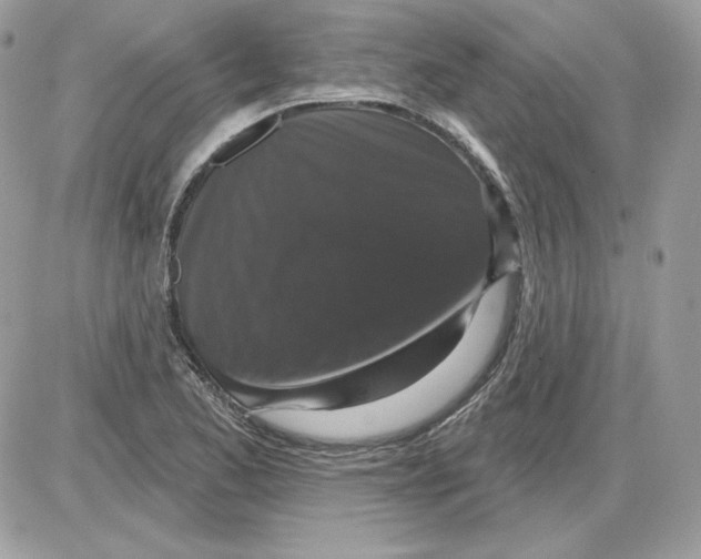 X0000085821173200704132004