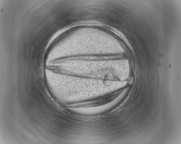 X0000085821176200704132004
