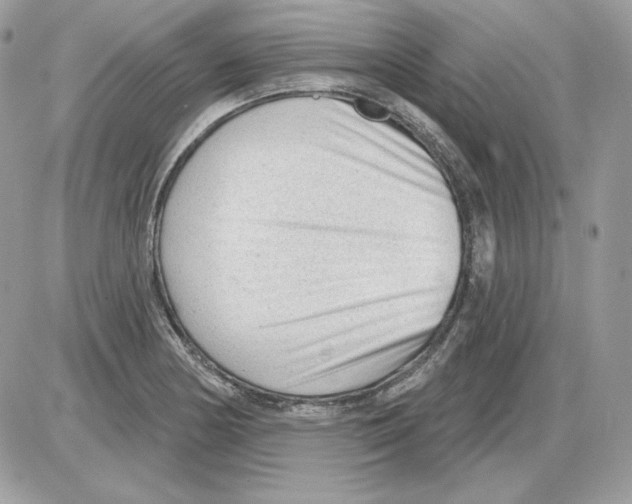 X0000085821178200704132004