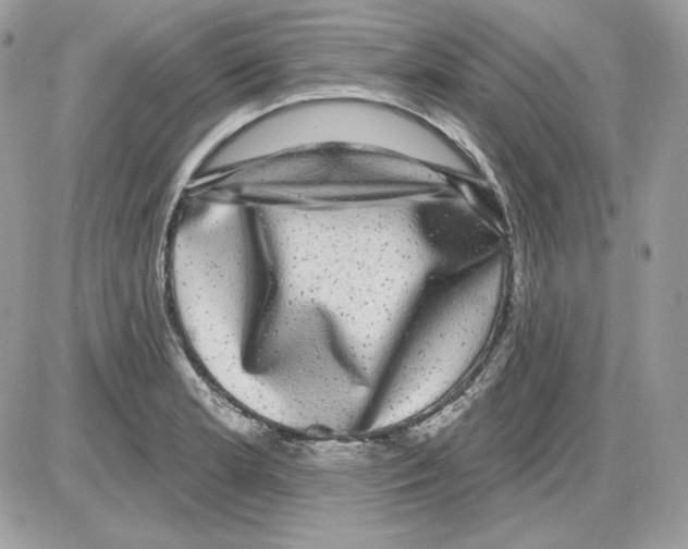 X0000085821181200704132004