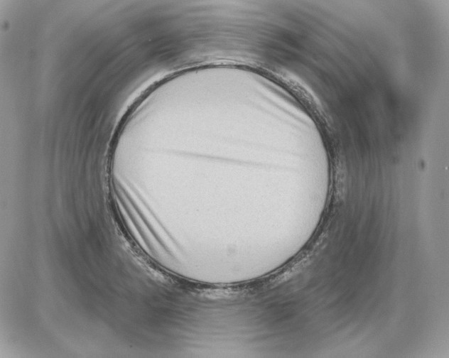 X0000085821182200704132004