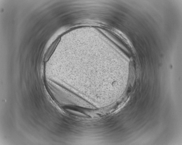 X0000085821188200704132004