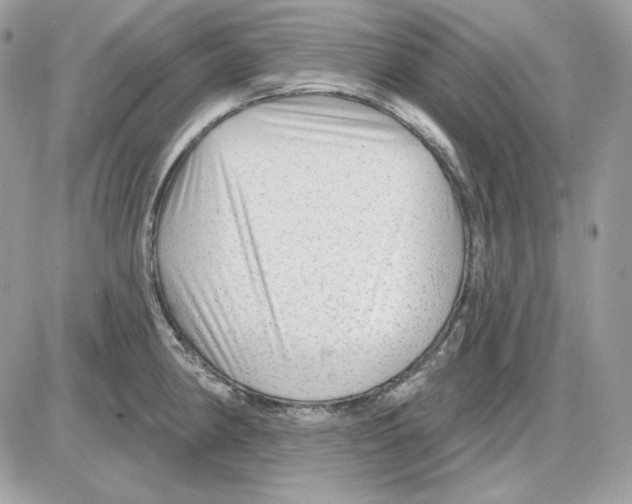 X0000085821190200704132004