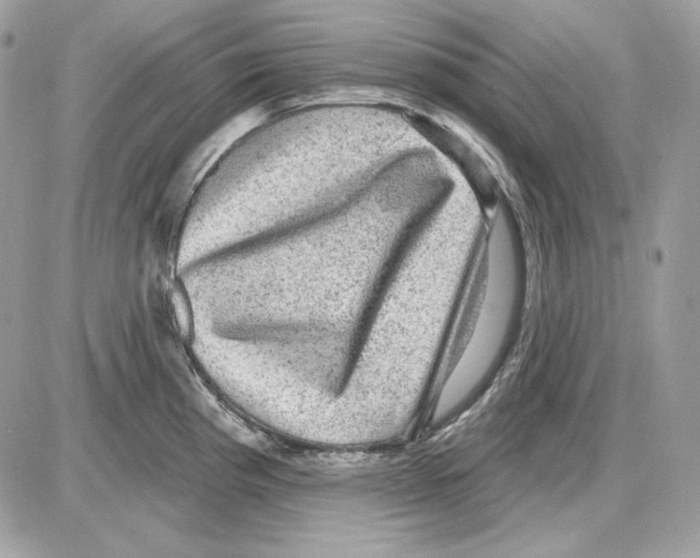 X0000085821193200704132004