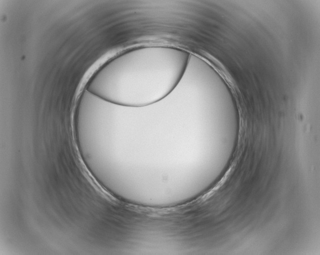 X0000085821196200704132004