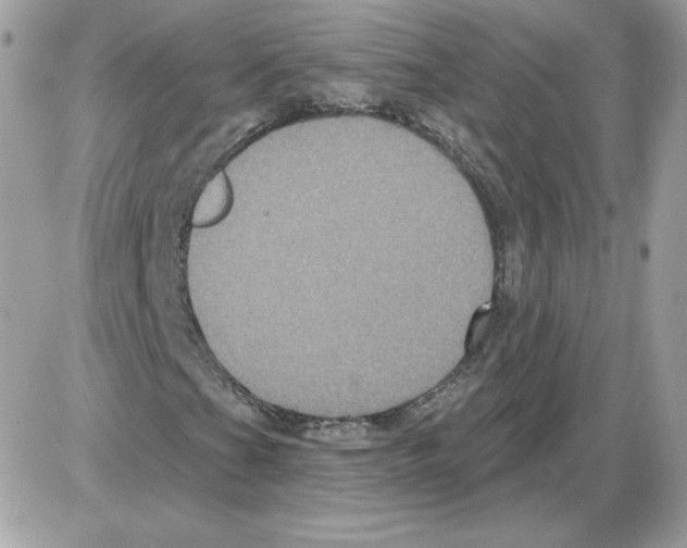 X0000085821201200704132003