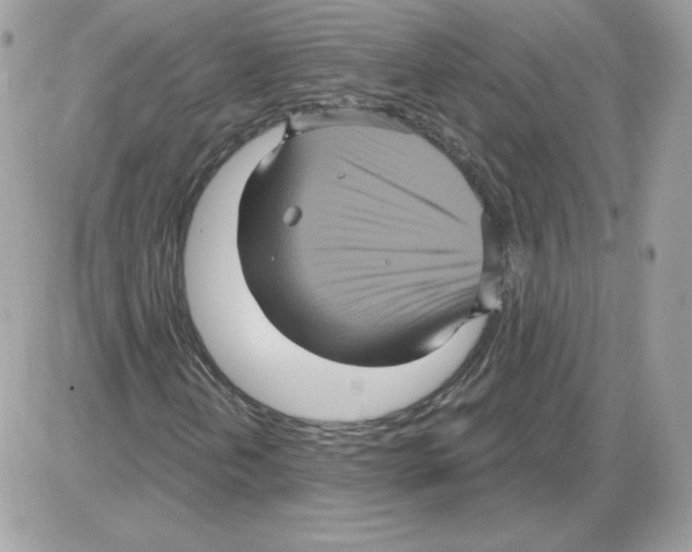 X0000085821202200704132003