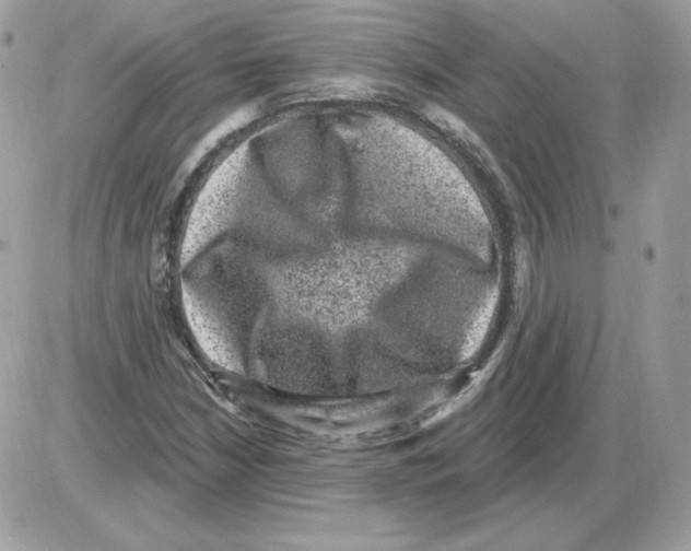 X0000085821210200704132003
