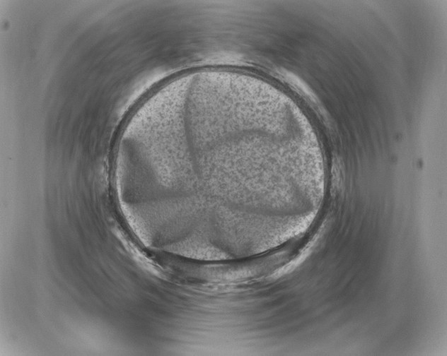 X0000085821212200704132003