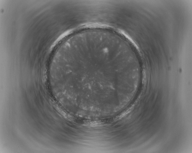 X0000085821213200704132003