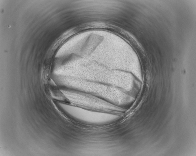 X0000085821225200704132003