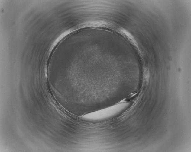 X0000085821226200704132003