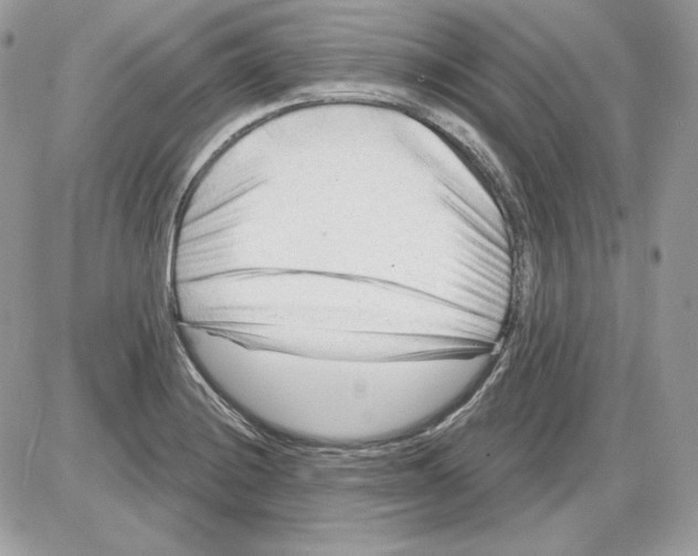 X0000085821228200704132003