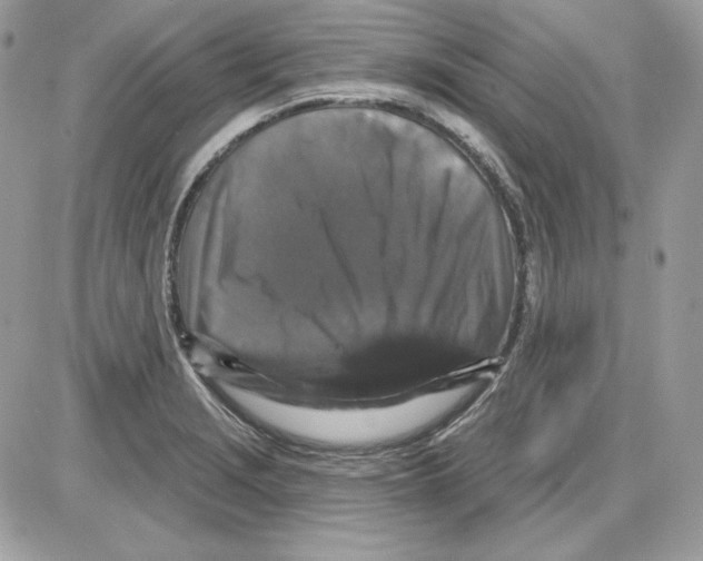X0000085821229200704132003