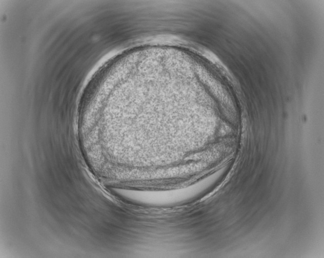 X0000085821232200704132004