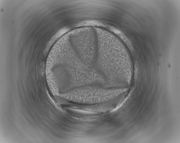 X0000085821233200704132004