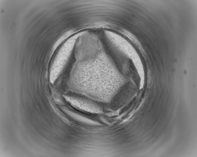 X0000085821234200704132004