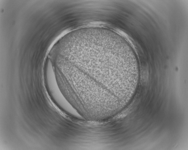 X0000085821235200704132004