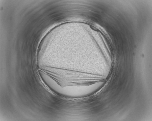 X0000085821236200704132004