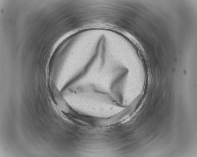X0000085821238200704132004