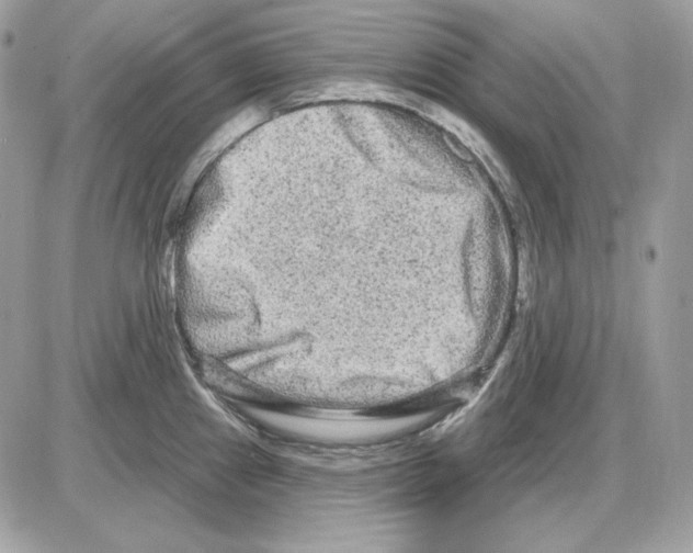 X0000085821241200704132004