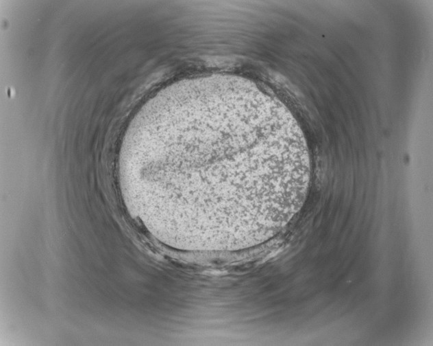 X0000085821249200704132003