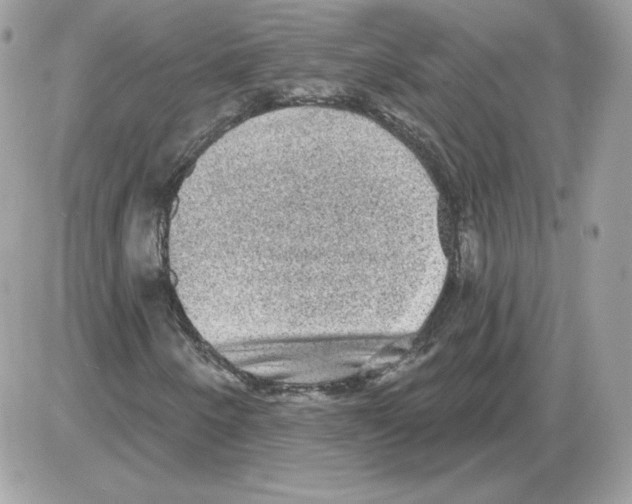 X0000085821250200704132003