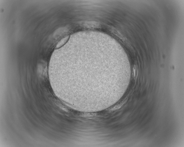 X0000085821251200704132003