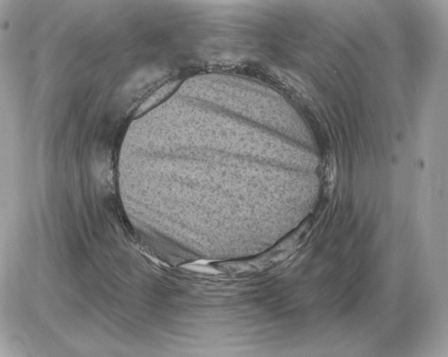 X0000085821252200704132003