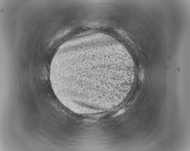 X0000085821253200704132003