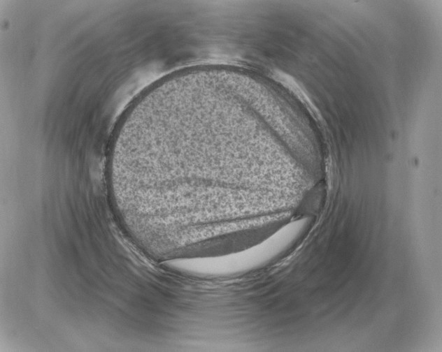 X0000085821260200704132003