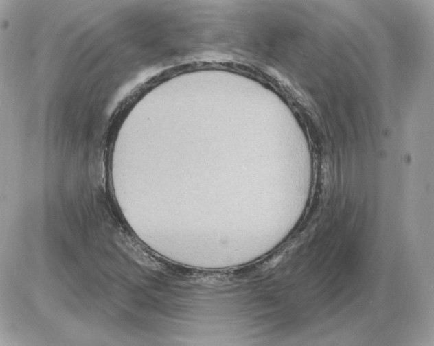 X0000085821262200704132003