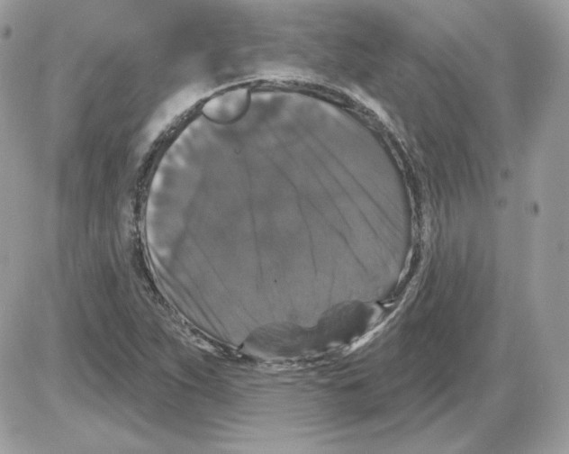 X0000085821263200704132003