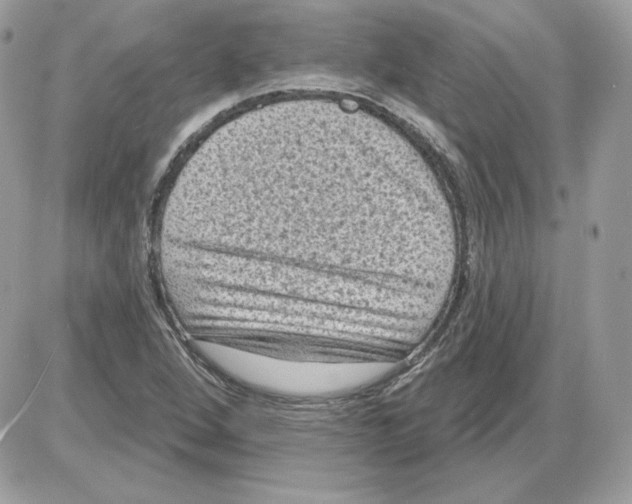 X0000085821264200704132003